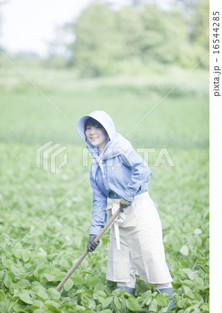 農業女子 16544285