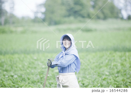 農業女子 農業女子 16544286