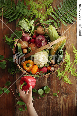 夏野菜　盛り合わせ 16544740