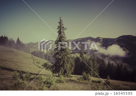 Mountain sunset 16545595
