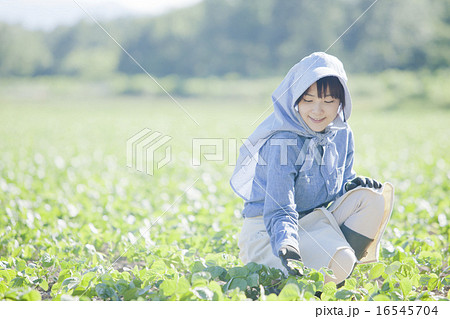 農業女子 農業女子 16545704
