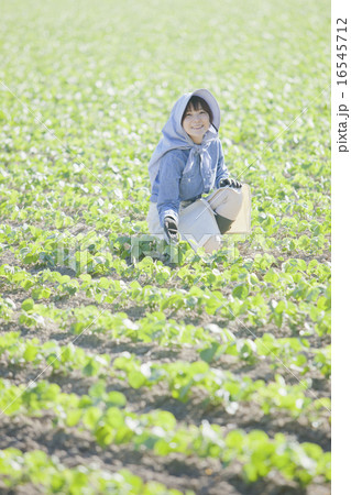 農業女子 16545712