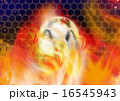 ファイヤー　ゴール 16545943