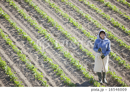 農業女子 16546009