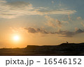 夕日と犬 16546152
