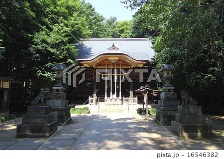 石神井氷川神社 16546382