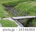橋 16546460