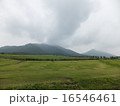 山 16546461