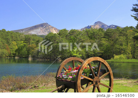 磐梯山 16546500