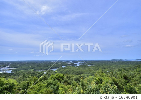 横山展望台 16546901