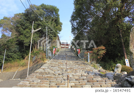 伊佐爾波神社 16547491