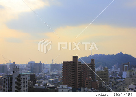 松山市 松山市 16547494