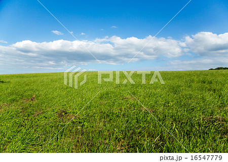 札幌・羊ケ丘 16547779