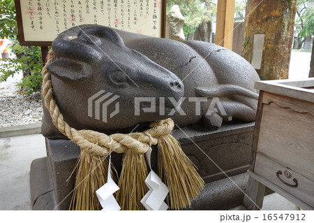 撫で牛 撫で牛 16547912