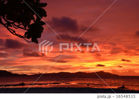 南の島の夕陽 南の島の夕陽 16548515