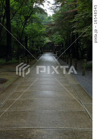 山門 山門 16548545