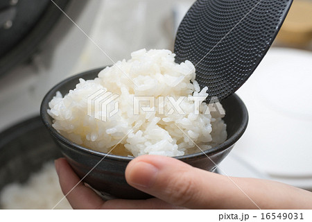 ご飯 16549031