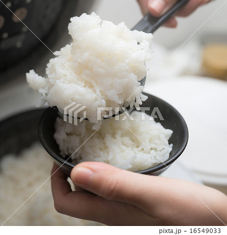 ご飯 16549033