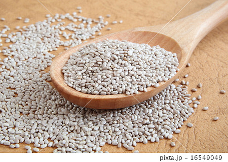 チアシード チアシード 16549049