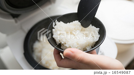 ご飯 ご飯 16549087