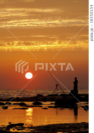 夕日と釣り人 夕日と釣り人 16550154