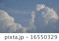 雲 16550329