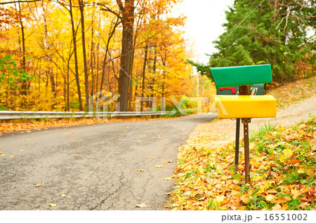 Autumn scene with road 16551002