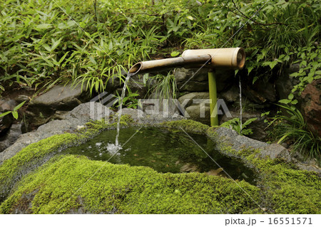 ししおどし 16551571