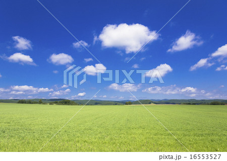 訓子府町の田園風景 訓子府町の田園風景 16553527