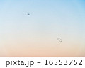 鳥と飛行機 16553752
