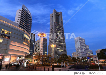 みなとみらい夜景 16553995