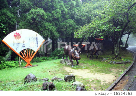 倶利伽羅峠の火牛像 16554562