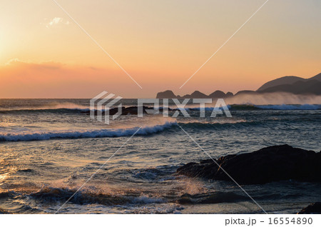 逆風の中で 逆風の中で 16554890