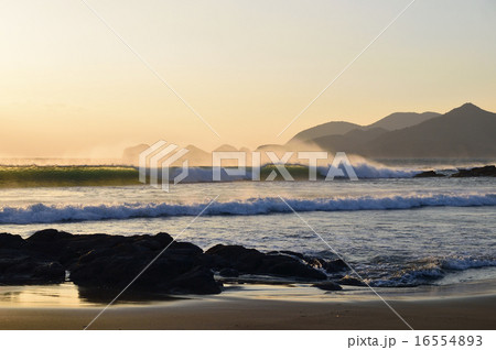 逆風の中で 逆風の中で 16554893