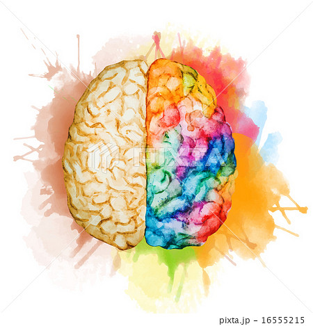 Watercolor brain Watercolor brain 16555215