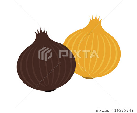 普通のたまねぎと黒たまねぎのイラスト素材
