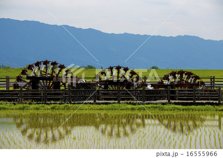 田舎の風景 朝倉市 菱野の三連水車 田舎の風景 朝倉市 菱野の三連水車 16555966