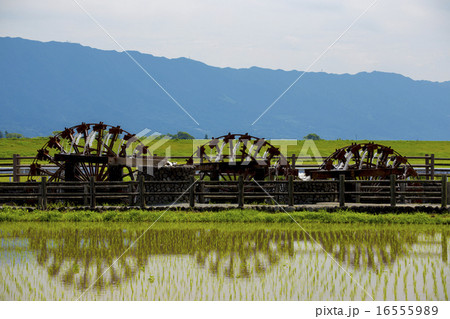 田舎の風景　朝倉市　菱野の三連水車 16555989