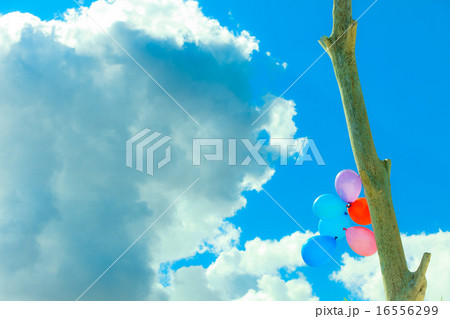 balloon chain in the sky balloon chain in the sky 16556299