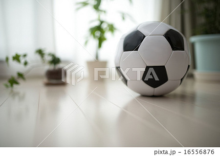 サッカーボール サッカーボール 16556876