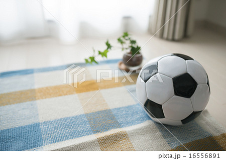 リビングのラグの上に置かれたサッカーボール 16556891