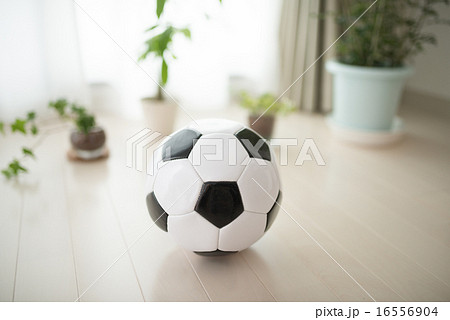 サッカーボール 16556904
