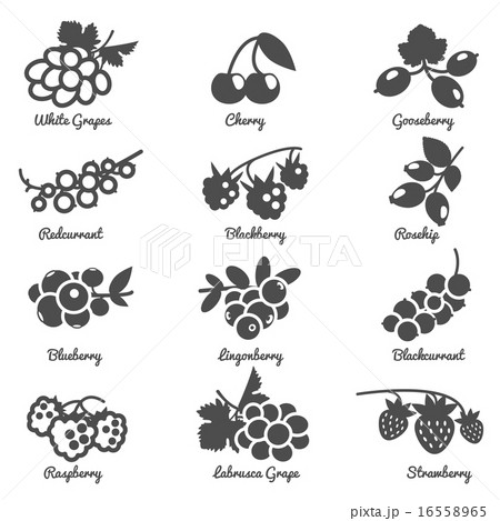 Berries Flat Icons Set 16558965