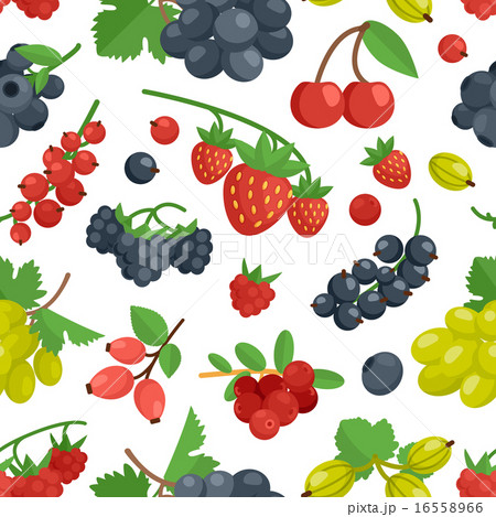 Berries Color Seamless Ornament Berries Color Seamless Ornament 16558966