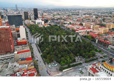 メキシコ　メキシコシティ　ラテンアメリカタワーから見たアラメダ・セントラル 16559664