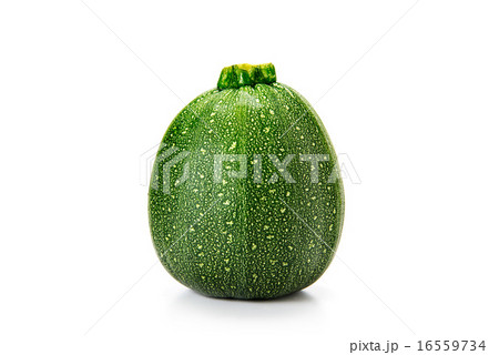 丸ズッキーニ 丸ズッキーニ 16559734