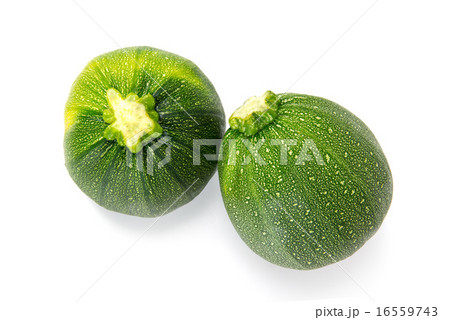 丸ズッキーニ 16559743