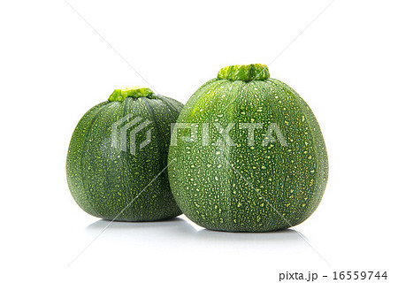 丸ズッキーニ 丸ズッキーニ 16559744