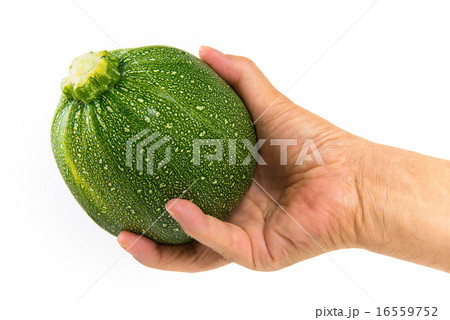 丸ズッキーニ 丸ズッキーニ 16559752