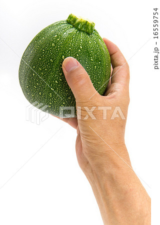 丸ズッキーニ 丸ズッキーニ 16559754